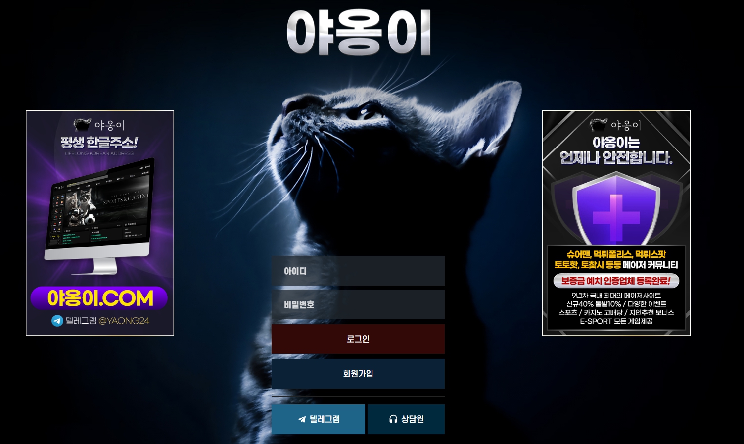 꽁포 야옹이